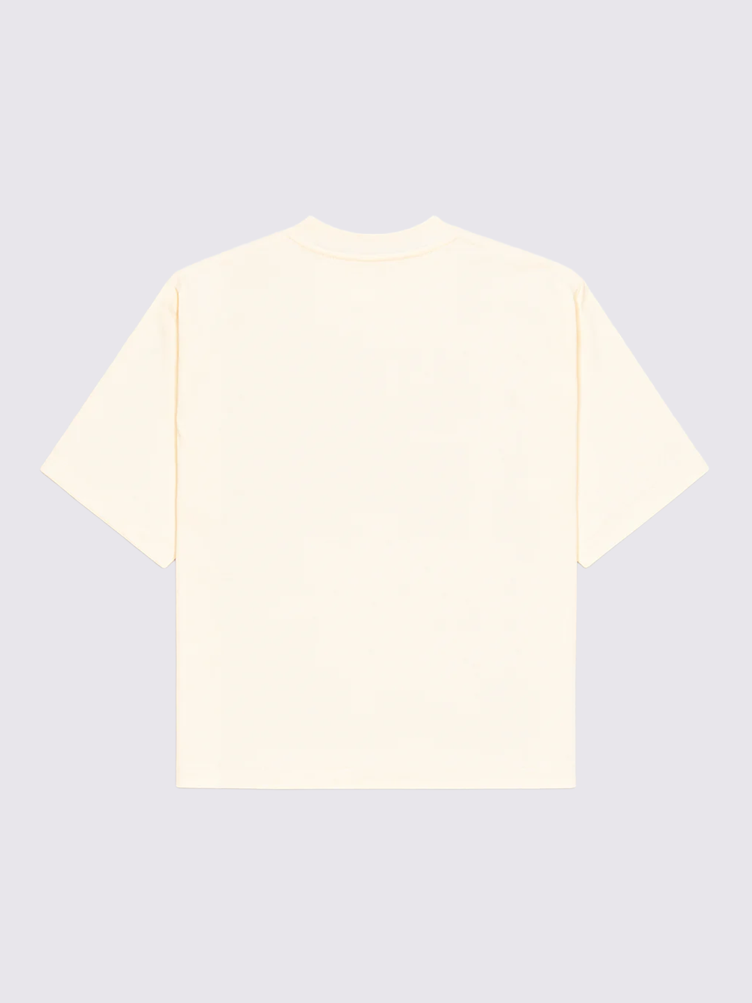 Tshirt Oversized - Personalizável DTF
