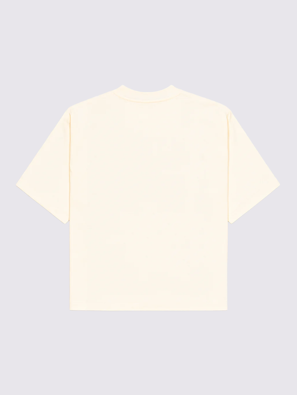 Tshirt Oversized - Personalizável DTF